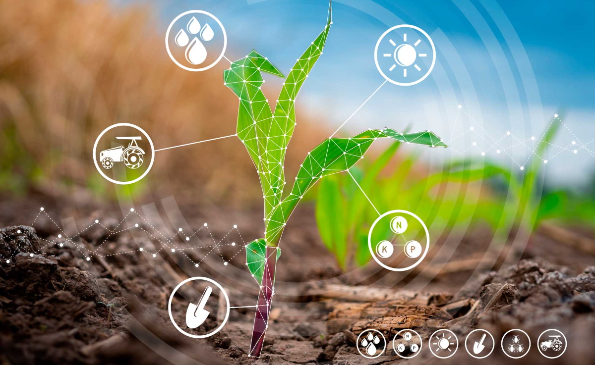 List Five Roles Of Science And Technology In Agricultural Development